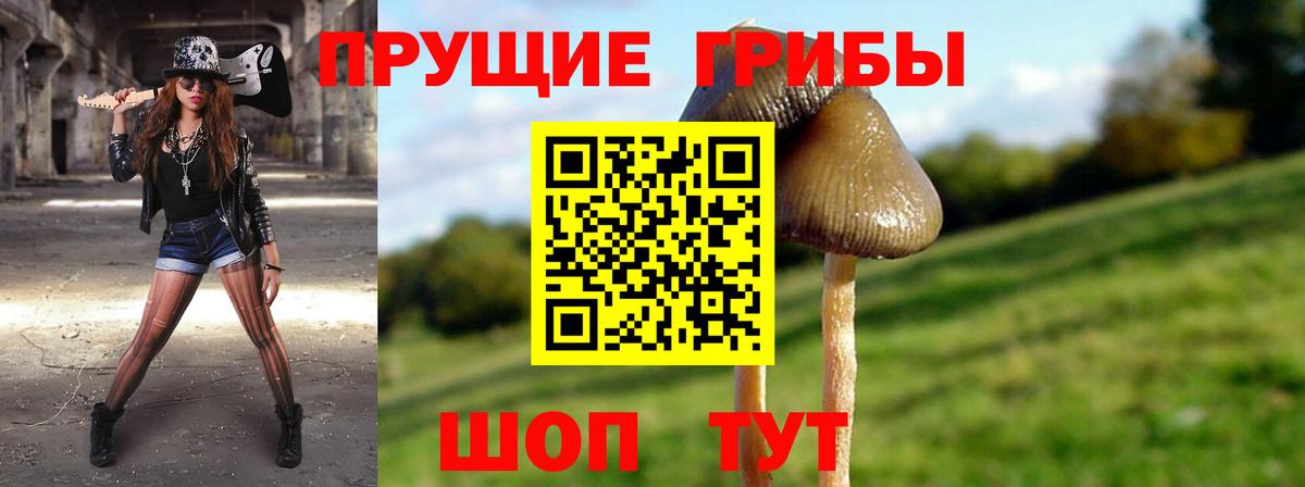 Галлюциногенные грибы ЛСД Асино